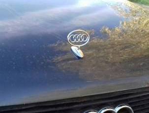Прицел на капот с логотипом Audi